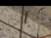 云浮百合無梁柱帽加固工程